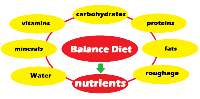 Balance Diet, What is Balance Diet, Nutrients and its components